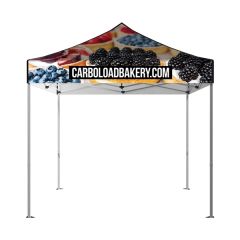 Displaysplash 10 Ft X 10 Ft Tent Top & Frame