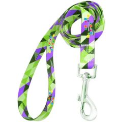 Dog Leash With Adjustable Collar And Carabiner