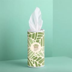 E-Z Sneezy Tissue Dispenser