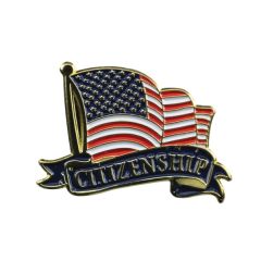 Educational Stock Pins - Citizenship