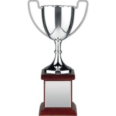 Endurance Nickel Plated Trophy Award