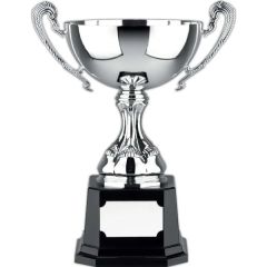 Euro Trophy Cup Award