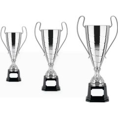 Euro Trophy Cup Award