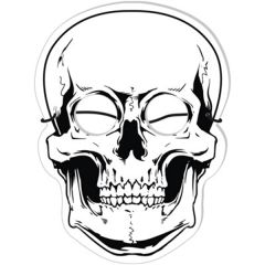 Foam Skull Mask