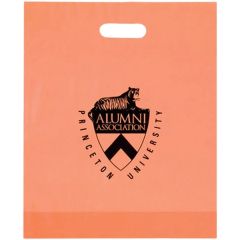 Frosted Plastic Die Cut Bag - Flexo Ink