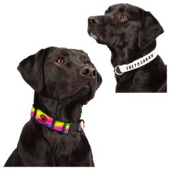 Full Color 1 Inch Wide Adjustable Pet Collar
