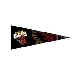 Full Color Felt Pennant - 12 X 30