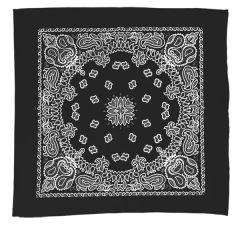 Garyline 22 Inch Bandana With Stock Paisley Pattern