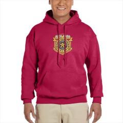 Gildan Adult Hooded Sweatshirt - Special Offer