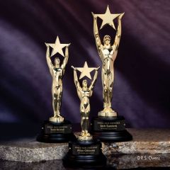 Gold Star Achievement Award