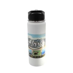 Halcyon 20 Oz Sport Bottle With Flip Straw Lid
