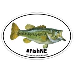 HD Resolution Full Color Oval Zip Strip Bumper Sticker 4 Inch X 6 Inch