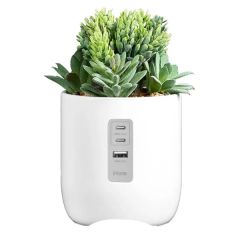 Ihome Faux Succulent With USB Charging Station