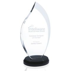 Innovation Award - Large