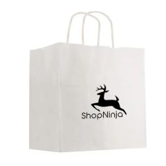 Kraft Paper White Shopping Bag - 10 Inch X 10 Inch
