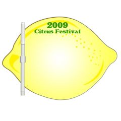 Lemon/Lime Erasable Memo Board