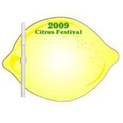Lemon/Lime Erasable Memo Board