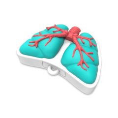 Lungs USB Flash Drive