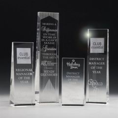 Mckinley Tower Award