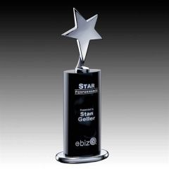 Mendocino Award