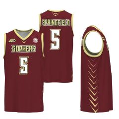 Men's/Youth Basketball V-Neck Jersey