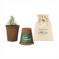 Modern Sprout One For One Tree Kits
