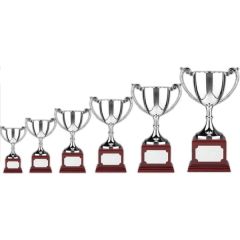 Nickel Plated Award Cup