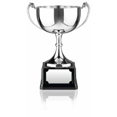 Nickel Plated Award Cup