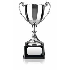 Nickel Plated Award Cup