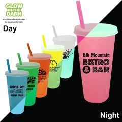 Nite Glow 26 Oz Tumbler With Lid & Straw