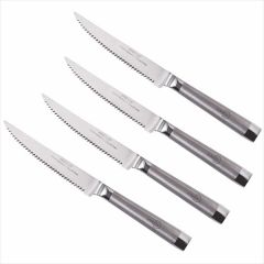 Oneida 4 Piece Stainless Steel Steak Knife Set