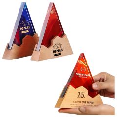 Outstanding Employee Award Medal