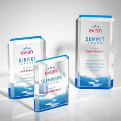 Paragon Vividprint Award