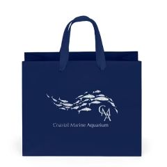 Paris Matte Eurotote - Foil Print