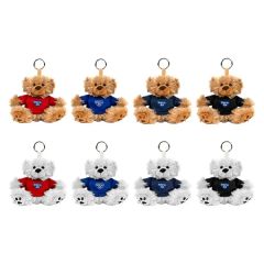 Paws 5 Inch Teddy Bear With Keyring