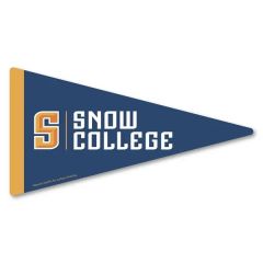 Pennant Car Sign Magnet - 7.125 X 3.75