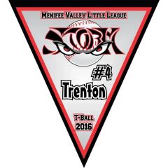 Personalized Triangle Banner - 13 Oz Matte Vinyl