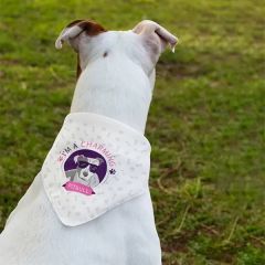 Pet Bandana Full Color 19 X 19