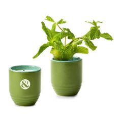 Modern Sprout Garden Vibes Candle/Planter