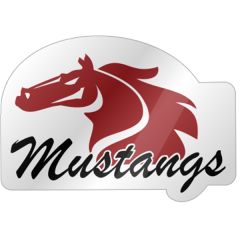 Premium Helmet Decals - Clear Vinyl