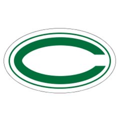 Premium Helmet Decals - White Vinyl
