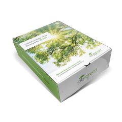 Presentation & Mailer Box 10 Inch X 14 Inch X 4 Inch Full Color