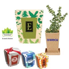 Promo Planter, 1-Pack Planter