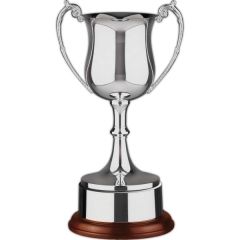 Range Nickel Plated Award Cup