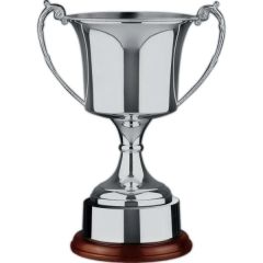 Range Nickel Plated Award Cup
