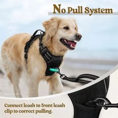 Reflective Night Dog Harness Leash Set