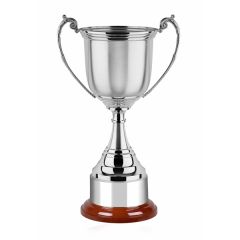 Revolution 5 Series Trophy Award
