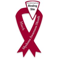 Ribbon Shaped Small Car Magnet