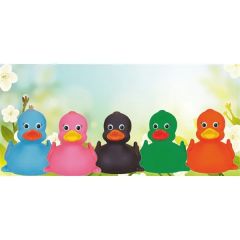Solid Rubber Color Duck