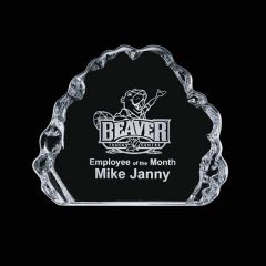 Spence Iceberg Award